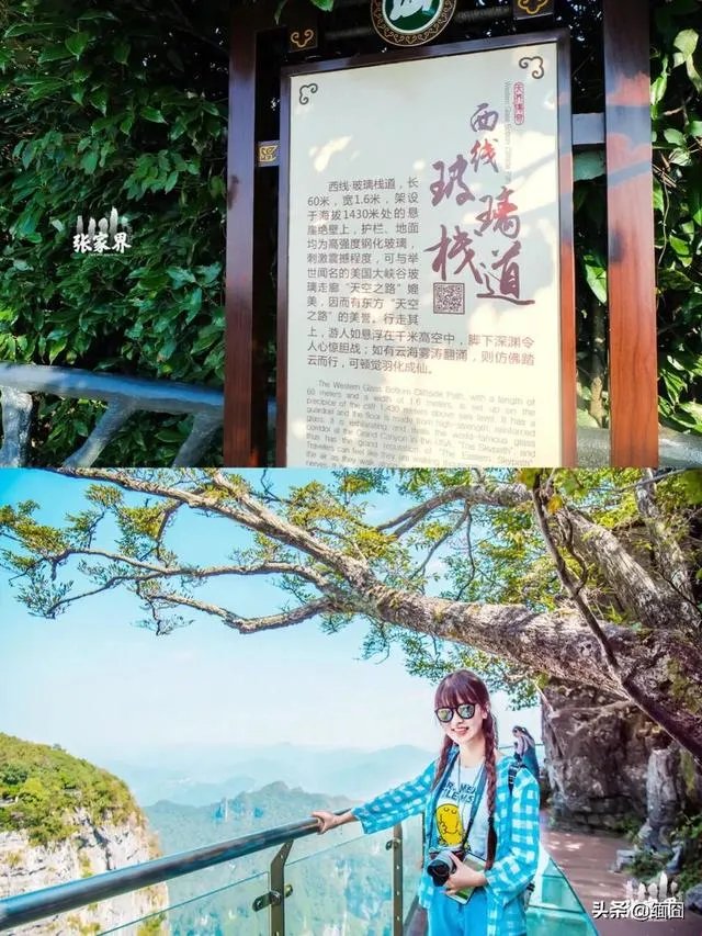 一次一万五的陪游到底有哪些服务?