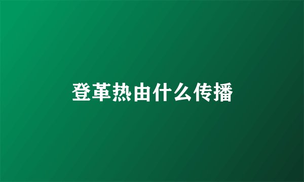 登革热由什么传播