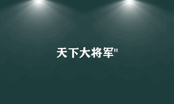 天下大将军