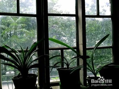 台风巴威登陆应该怎么防范