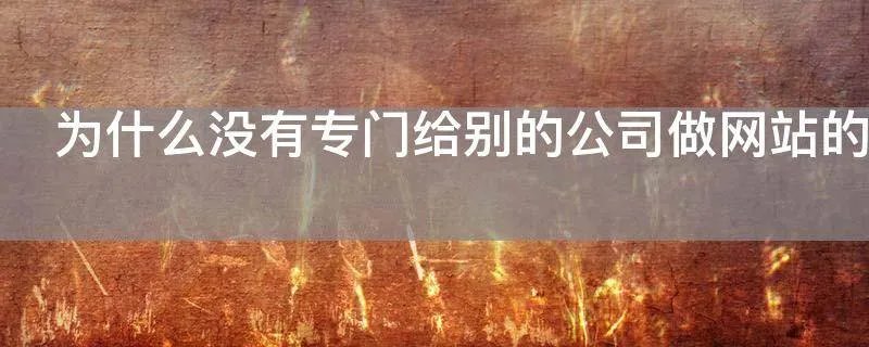 为什么没有专门给别的公司做网站的前端后端公司