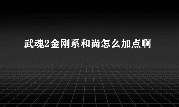 武魂2金刚系和尚怎么加点啊