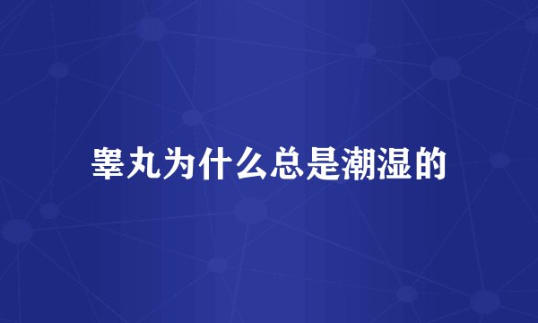 睾丸为什么总是潮湿的