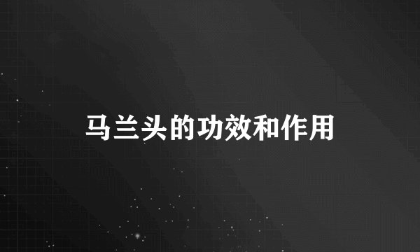 马兰头的功效和作用