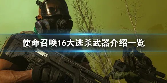 《使命召唤16大逃杀》模式武器有哪些 大逃杀武器介绍一览