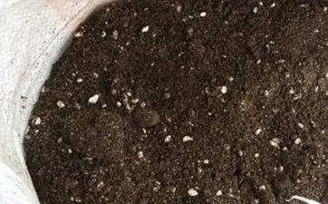 早上镜子打破了有什么预兆 扔镜子有什么说法吗