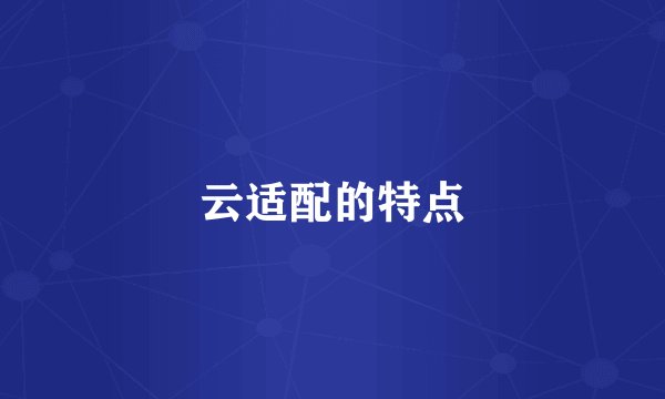 云适配的特点