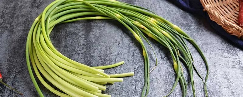 蒜苔怎么腌制才好吃