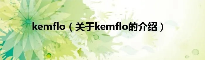 kemflo（关于kemflo的介绍）