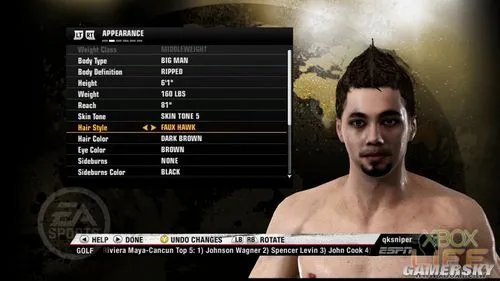《拳击之夜5:冠军(Fight Night Champion)》游戏介绍与点评
