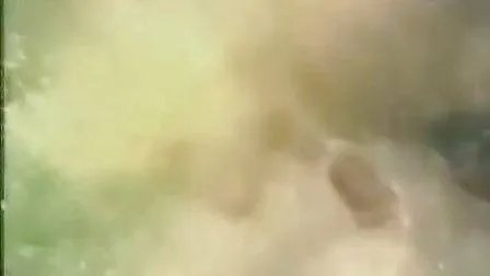 鹰燕龙虎榜的介绍