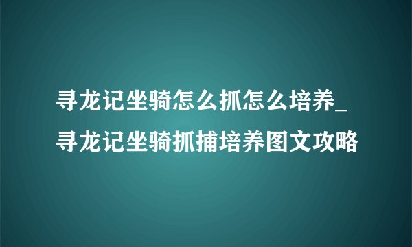 寻龙记坐骑怎么抓怎么培养_寻龙记坐骑抓捕培养图文攻略
