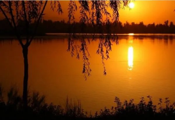 人情冷暖冷暖自知是什么意思