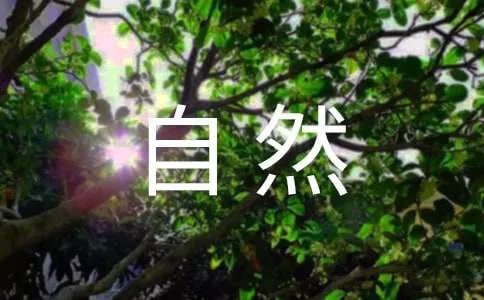 走进大自然作文