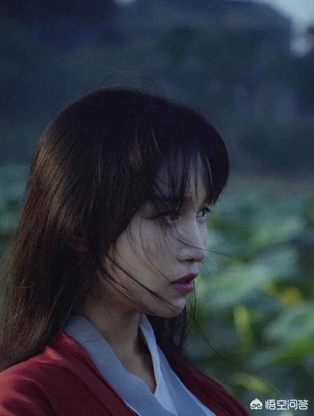 网红当选全国青联委员，你怎么看？