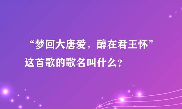 “梦回大唐爱，醉在君王怀”这首歌的歌名叫什么？