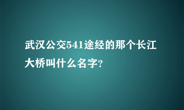 武汉公交541途经的那个长江大桥叫什么名字？