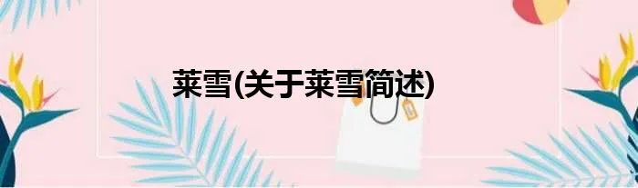 莱雪(关于莱雪简述)