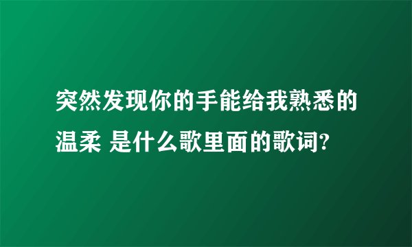 突然发现你的手能给我熟悉的温柔 是什么歌里面的歌词?