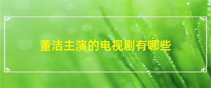 董洁主演的电视剧有哪些