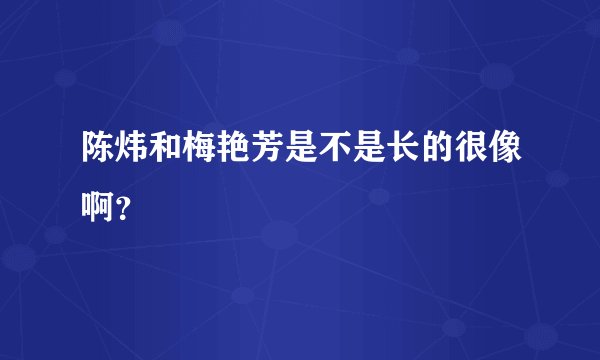 陈炜和梅艳芳是不是长的很像啊？
