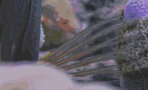 纪录片《蓝色星球》讲了什么?好看吗?