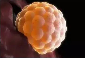 捐卵试管医院-山西妇幼供卵试管需要排队吗？山西精子库医院人工授精费用是多少？