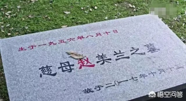 《都挺好》都有哪些穿帮镜头？