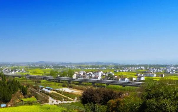 2020汉中油菜花节主会场在哪 2020汉中油菜花节时间门票交通攻略