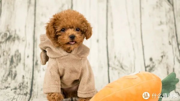 开箱晒物系列 篇八：#晒单大赛#CANON 佳能 穷人三宝集齐（附样片）