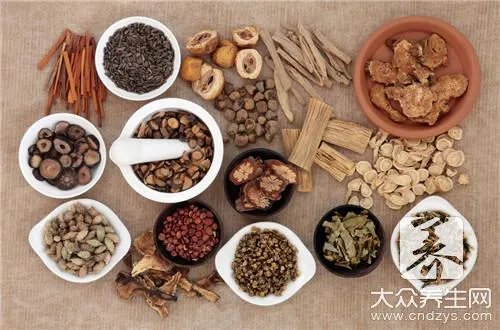 还魂草的功效与作用有哪些