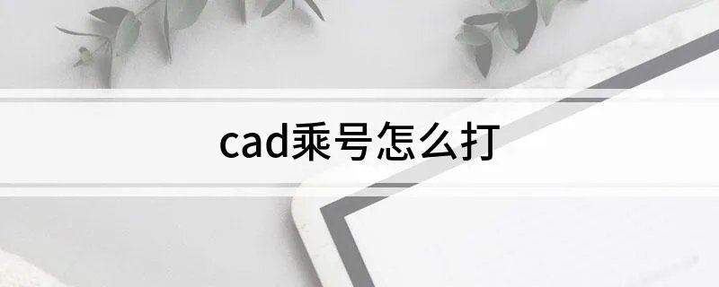 cad乘号怎么打