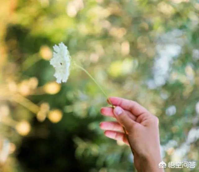 如何做一个知性优雅的女子?