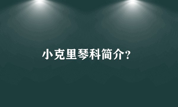 小克里琴科简介?