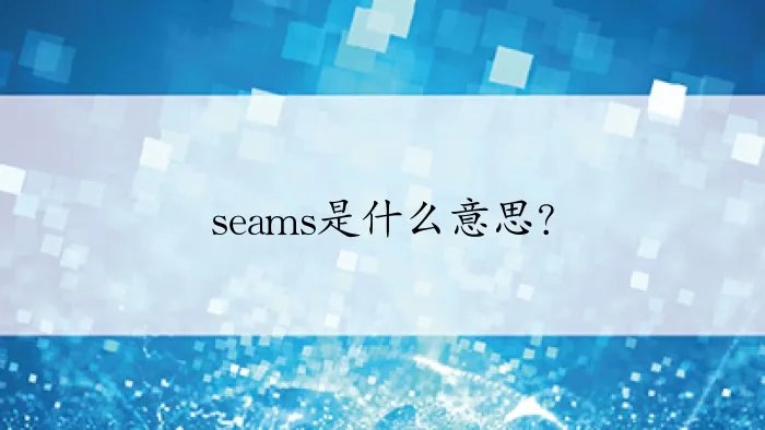seams是什么意思?
