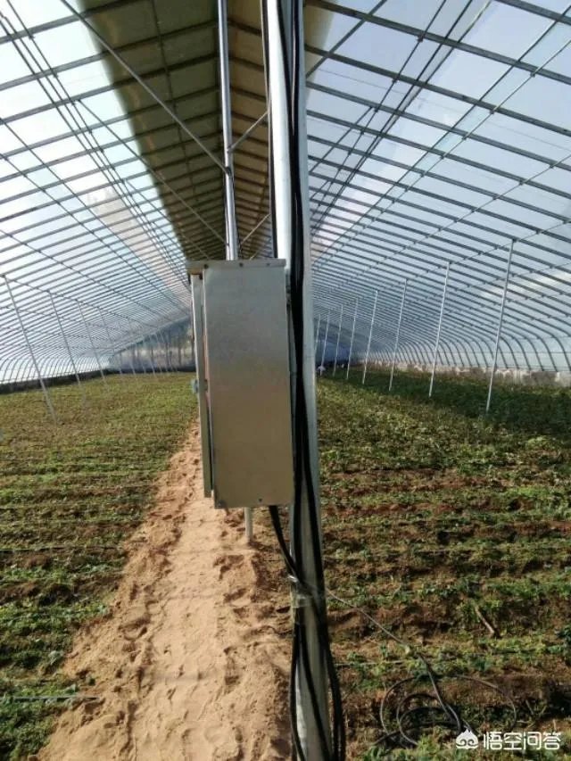 蔬菜大棚和蔬菜温室的区别是什么？