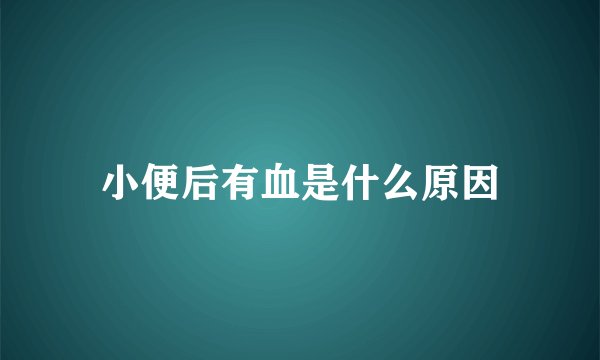 小便后有血是什么原因
