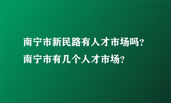 南宁市新民路有人才市场吗？南宁市有几个人才市场？