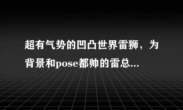 超有气势的凹凸世界雷狮，为背景和pose都帅的雷总打call