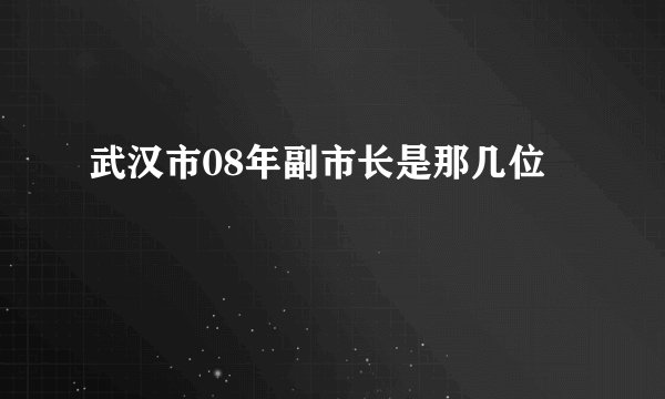 武汉市08年副市长是那几位