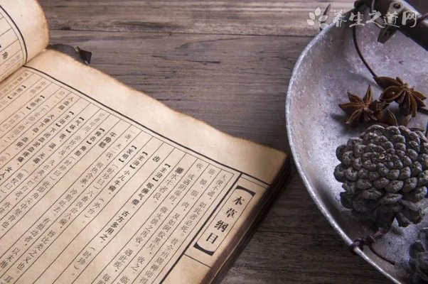 春季养生吃什么