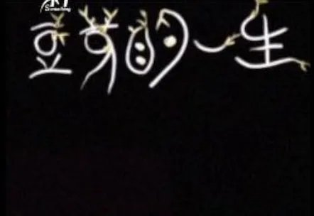 学校厨师用豆芽制作动画片，对他的行为你有何看法？