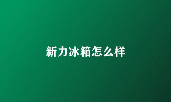 新力冰箱怎么样