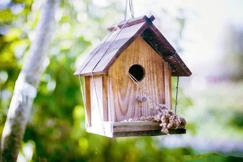 嫁给豪门植物人之后小说童颜陆霆骁全篇阅读