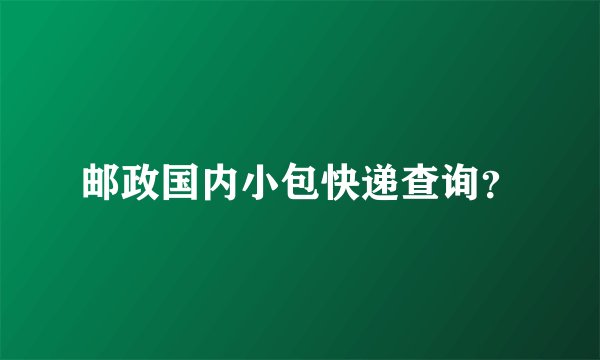 邮政国内小包快递查询？