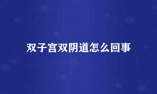 双子宫双阴道怎么回事