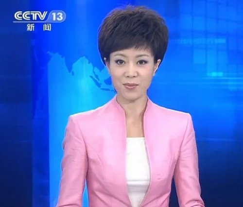 央视女主播文静简历   家庭背景大曝光