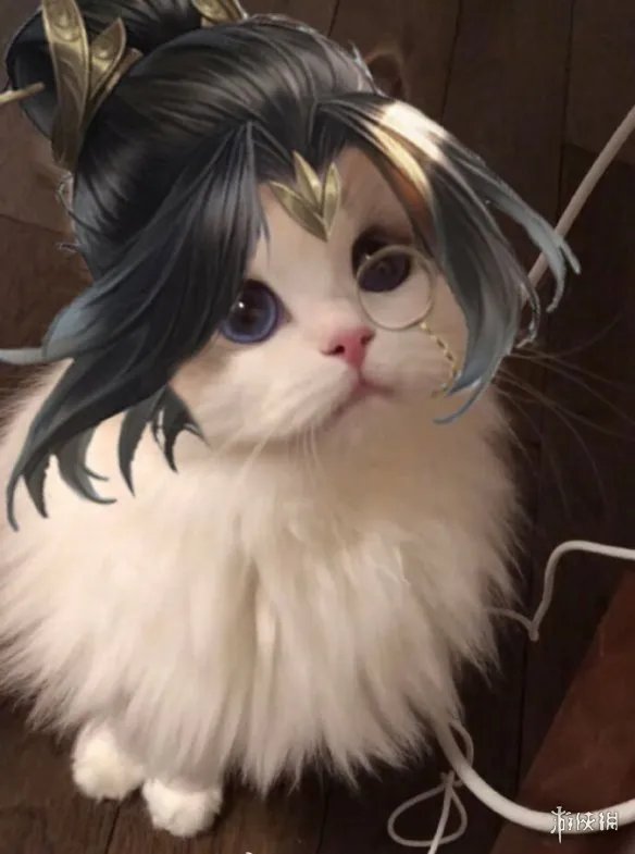 《王者荣耀》猫咪接头头像最新 猫咪头像大全