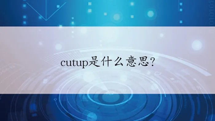 cutup是什么意思？