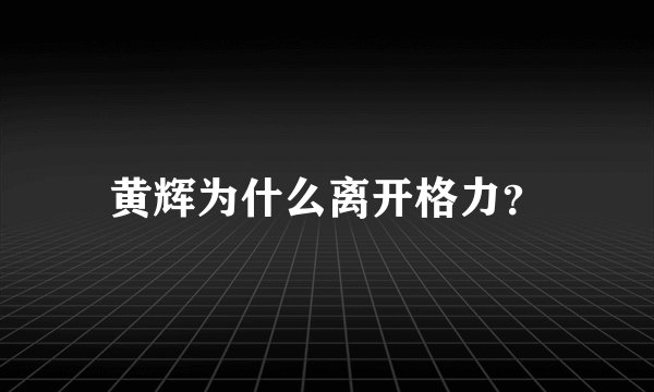 黄辉为什么离开格力？